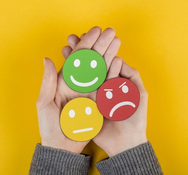 GESTÃO DAS EMOÇÕES NO TRABALHO
