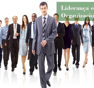 Desenvolvimento da Liderança e Visão Organizacional 